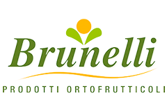 brunelli